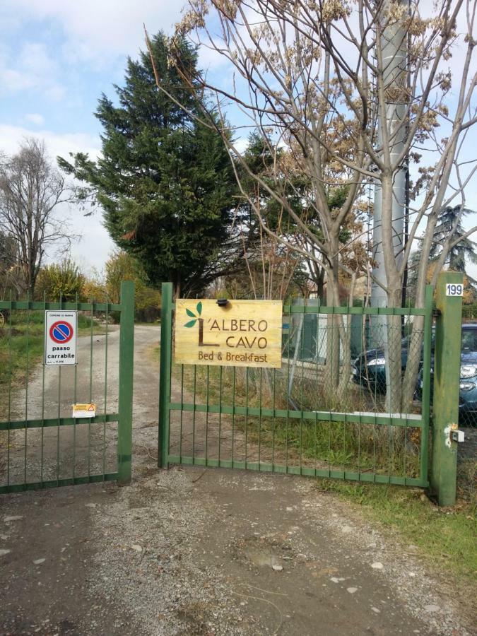R&b Albero Cavo Parma