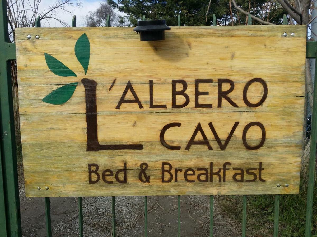 R&b Albero Cavo Parma