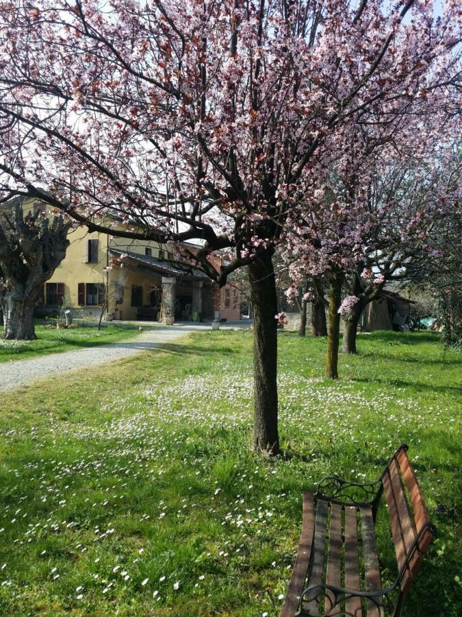R&b Albero Cavo Bed & Breakfast 3*