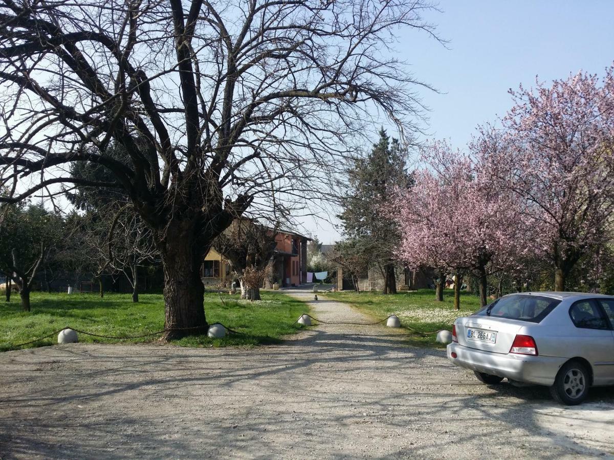 R&b Albero Cavo 3* Parma