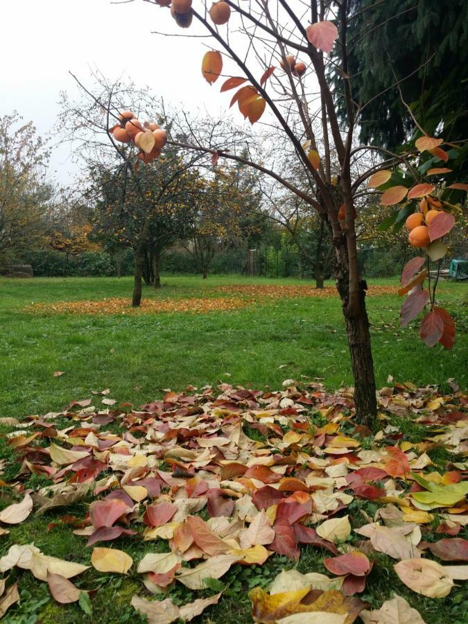 R&b Albero Cavo Bed & Breakfast