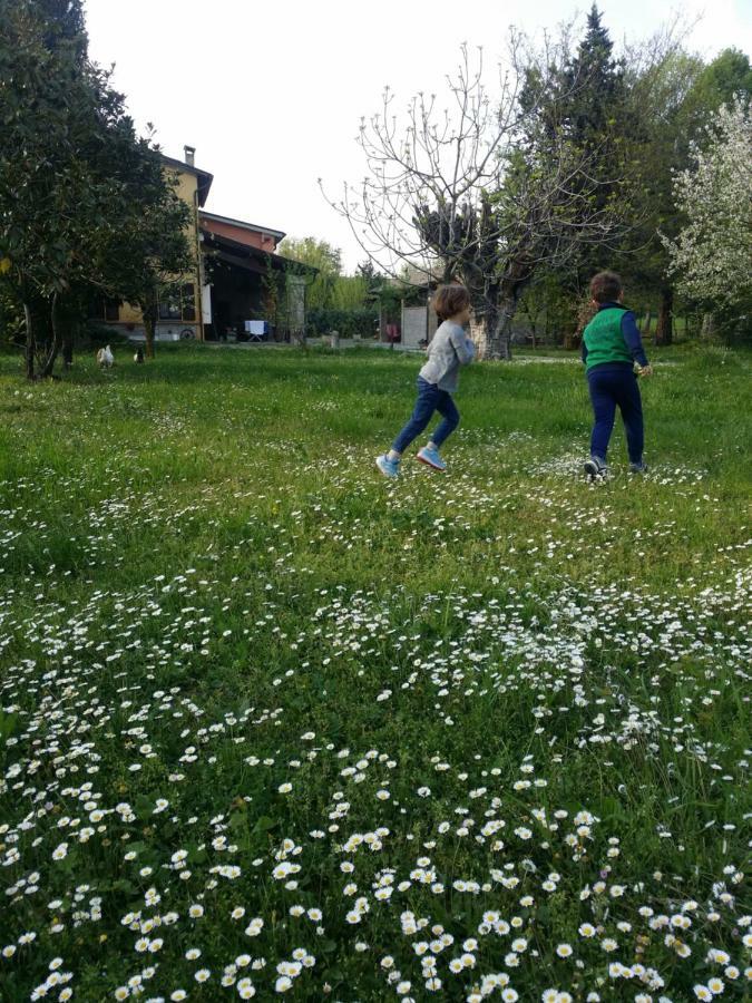 R&b Albero Cavo Bed & Breakfast 3*