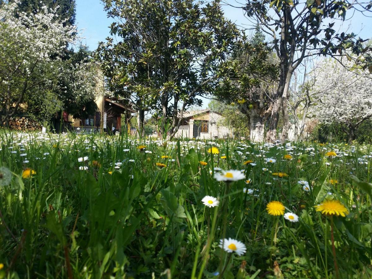 R&b Albero Cavo Bed & Breakfast 3*